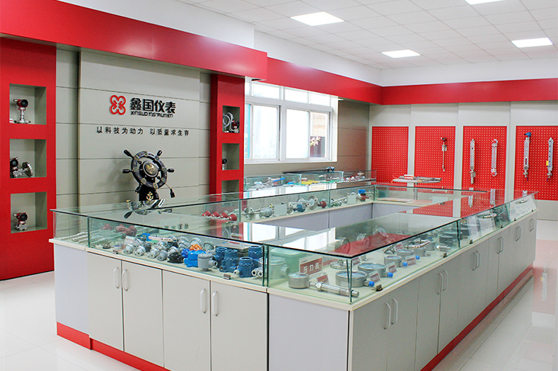 Xinguo Group Co., Ltd.