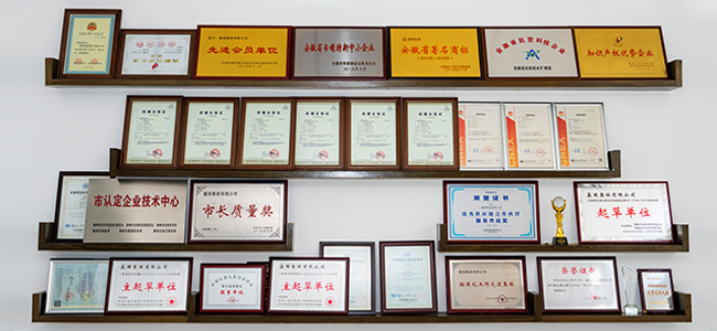 Xinguo Group Co., Ltd.