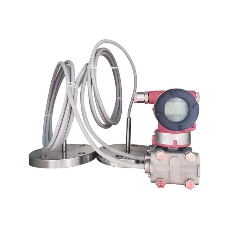 XG3051DP Differential pressure remote transmitter