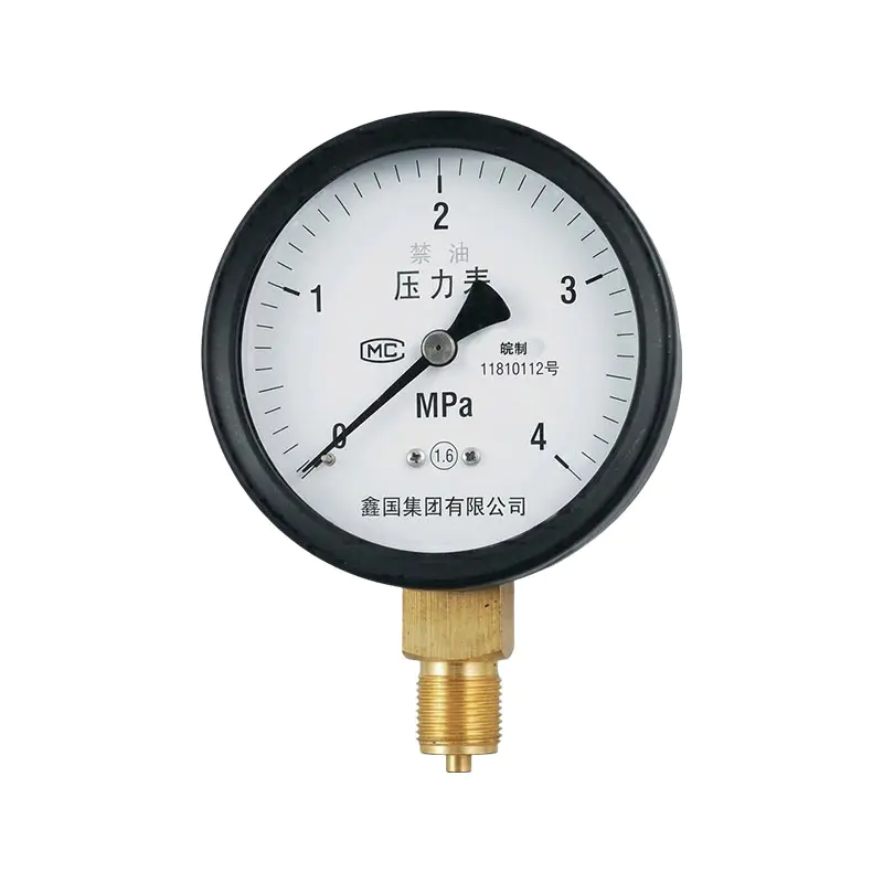 XG/Y series general pressure gauge XG/Y series general pressure gauge